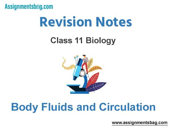 Body Fluids and Circulation Class 11 Biology Revision Notes