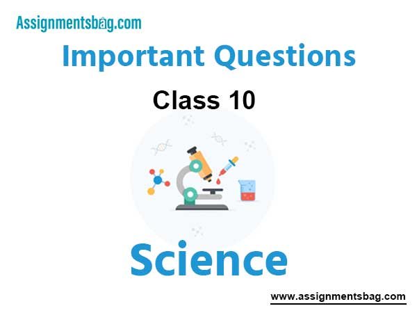 Class 10 Science Important Questions