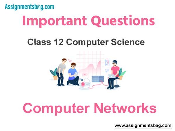 Computer Networks Class 12 Computer Science Important Questions