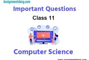 Class 11 Computer Science Important Questions