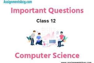 Class 12 Computer Science Important Questions