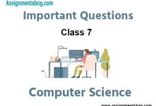 Class 7 Computer Science Important Questions