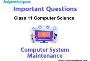 Computer System Maintenance Class 11 Computer Science Important Questions