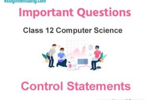 Control Statements Class 12 Computer Science Important Questions