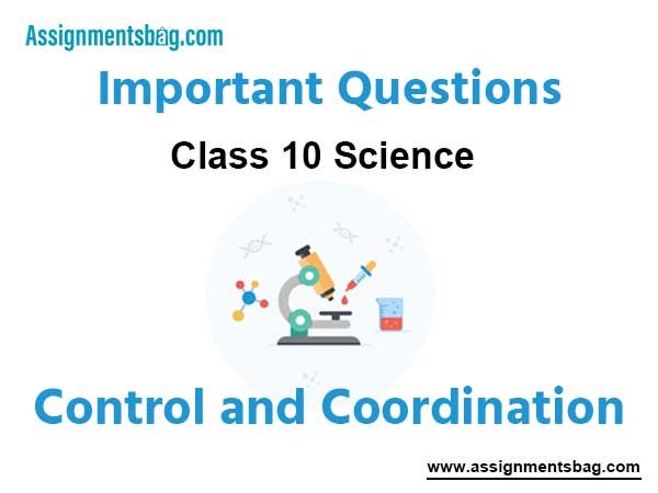 Control and Coordination Class 10 Science Important Questions