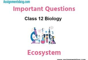 Ecosystem Class 12 Biology Important Questions