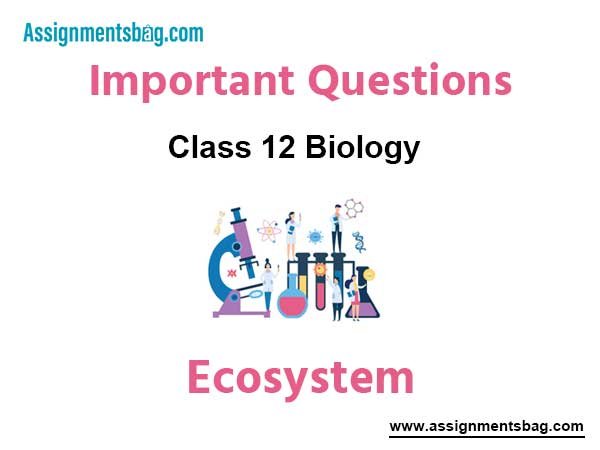 Ecosystem Class 12 Biology Important Questions