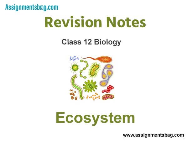 Ecosystem Class 12 Biology Revision Notes