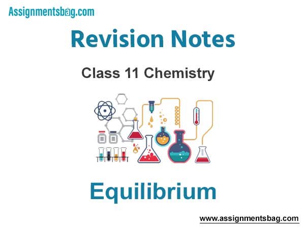 Equilibrium Revision Notes