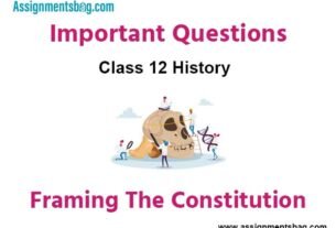 Framing The Constitution Class 12 History Important Questions