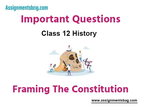 Framing The Constitution Class 12 History Important Questions
