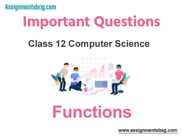 Functions Class 12 Computer Science Important Questions