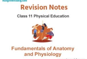 Fundamentals of Anatomy and Physiology Revision Notes