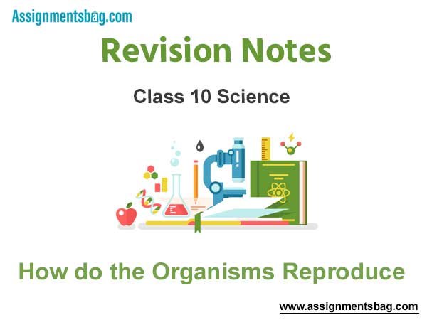 How do the Organisms Reproduce Class 10 Science Revision Notes