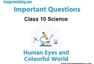 Human Eyes and Colourful World Class 10 Science Important Questions