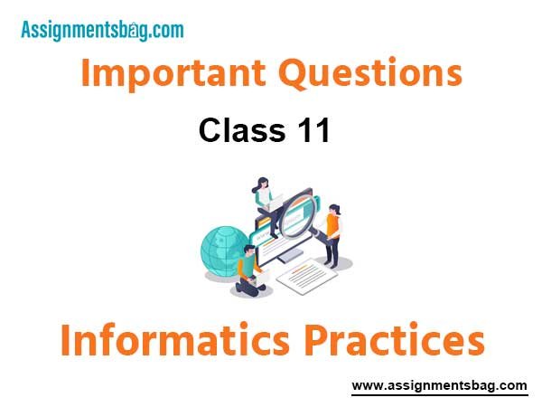 Class 11 Informatics Practices Important Questions