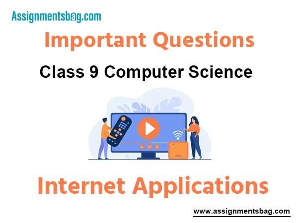 Internet Applications Class 9 Computer Science Important Questions