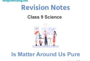 Is Matter Around Us Pure Revision Notes