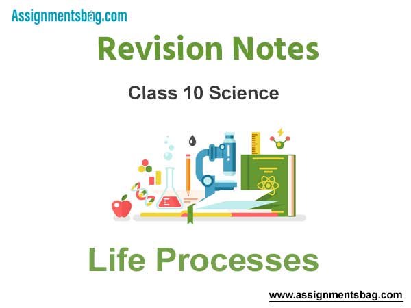 Life Processes Class 10 Science Revision Notes