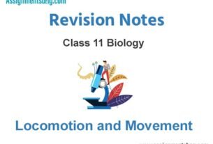 Locomotion and Movement Class 11 Biology Revision Notes