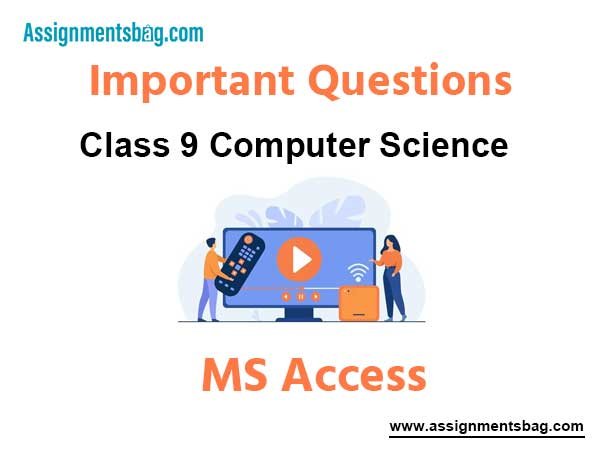 MS Access Class 9 Computer Science Important Questions