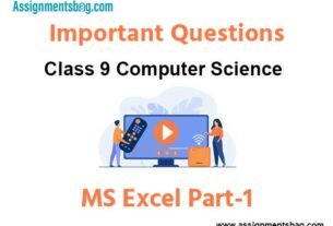 MS Excel Part-1 Class 9 Computer Science Important Questions