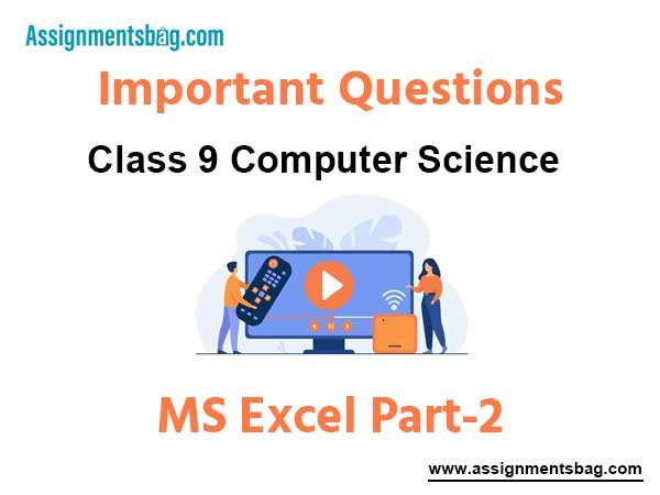 MS Excel Part-2 Class 9 Computer Science Important Questions