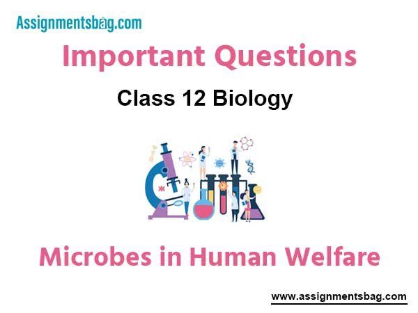 Microbes in Human Welfare Class 12 Biology Important Questions