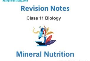 Mineral Nutrition Class 11 Biology Revision Notes