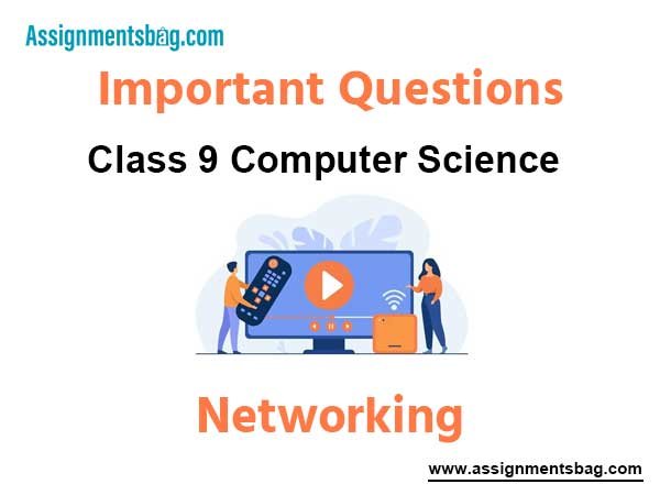 Networking Class 9 Computer Science Important Questions