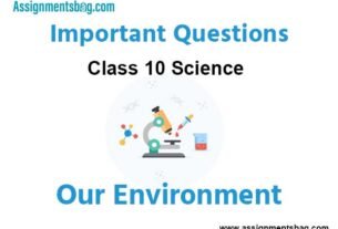 Our Environment Class 10 Science Important Questions