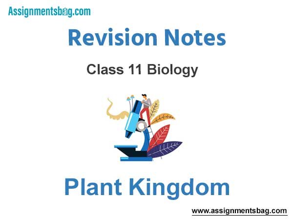 Plant Kingdom Class 11 Biology Revision Notes