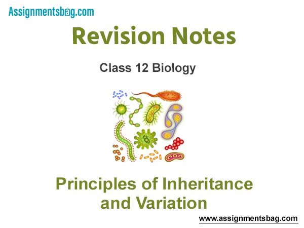 Principles of Inheritance and Variation Class 12 Biology Revision Notes