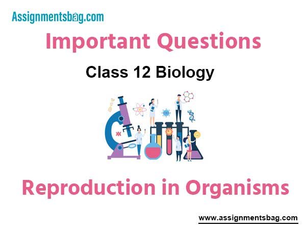 Reproduction in Organisms Class 12 Biology Important Questions