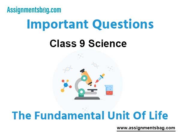 The Fundamental Unit Of Life Class 9 Science Important Questions