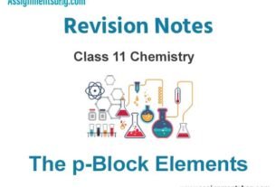 The p-Block Elements Revision Notes