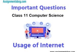 Usage of Internet Class 11 Computer Science Important Questions