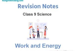 Work and Energy Revision Notes