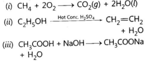 Assignments Chapter 4 Carbon and Its Compound Class 10 Science