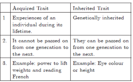 Assignments Chapter 9 Heredity And Evolution Class 10 Science