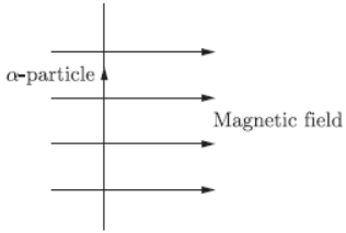 Assignments Chapter 13 Magnetic Effect of Electric Current Class 10 Science