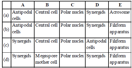 Assignments Class 12 Biology Sexual Sexual Reproduction in Flowering Plants