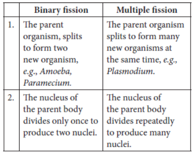 Assignments Chapter 8 How do the Organisms Reproduce Class 10 Science