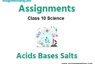 Assignments Class 10 Science Acids Bases Salts
