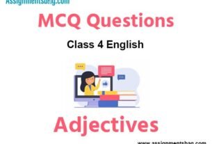 MCQ Questions Chapter 2 Adjectives Class 4 English
