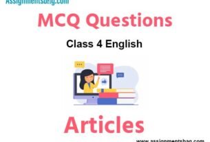 MCQ Questions Chapter 5 Articles Class 4 English