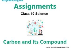 Class 10 Science Carbon and Its Compound Chapter