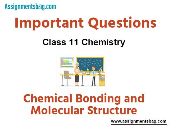 Assignments Class 11 Chemistry Chemical Bonding and Molecular Structure