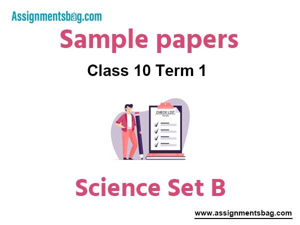 CBSE Class 10 Science Term 1 Sample Paper Set B