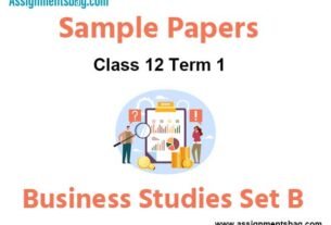 CBSE Class 12 Business Studies Term 1 Sample Paper Set B